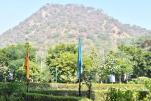 school of aeronautics college neemrana