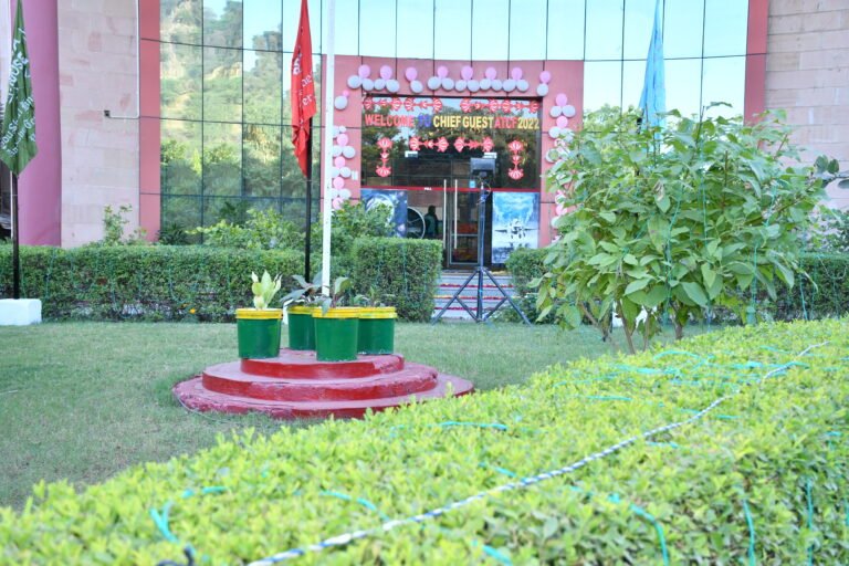 school of aeronautics college neemrana